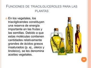 FUNCIONES DE TRIACILGLICEROLES PARA LAS
PLANTAS
 En los vegetales, los
triacilgliceroles constituyen
una reserva de energía
importante en las frutas y
las semillas. Debido a que
estas moléculas contienen
cantidades relativamente
grandes de ácidos grasos
insaturados (p. ej., oleico y
linoleico), se les denomina
aceites vegetales.
68
 