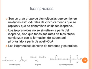 ISOPRENOIDES.
 Son un gran grupo de biomoléculas que contienen
unidades estruc-turales de cinco carbonos que se
repiten y que se denominan unidades isopreno.
 Los isoprenoides no se sintetizan a partir del
isopreno, sino que todas sus rutas de biosíntesis
comienzan con la formación de isopentenil
piro-fosfato a partir de acetil-CoA
 Los isoprenoides constan de terpenos y esteroides
79
 