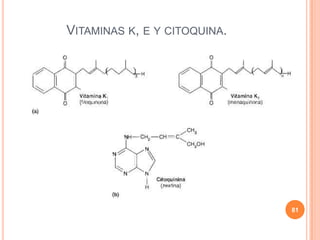 VITAMINAS K, E Y CITOQUINA.
81
 