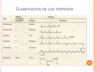 CLASIFICACIÓN DE LOS TERPENOS
82
 