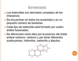 ESTEROIDES
 Los esteroides son derivados complejos de los
triterpenos.
 Se encuentran en todos los eucariotas y en un
pequeño número de bacterias.
 Cada tipo de esteroíde está formado por cuatro
anillos fusionados.
 Se diferencian entre ellos por la posicion del doble
enlace carbono- carbono y por tener diferentes
sustituyentes, hidroxilos, carbonilo y alquilos.
83
 