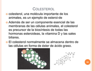 COLESTEROL
 colesterol, una molécula importante de los
animales, es un ejemplo de esteroi-de
 Además de ser un componente esencial de las
membranas de las células animales, el colesterol
es precursor de la biosíntesis de todas las
hormonas esteroideas, la vitamina D y las sales
biliares.
 El colesterol normalmente se almacena dentro de
las células en forma de éster de ácido graso.
84
 