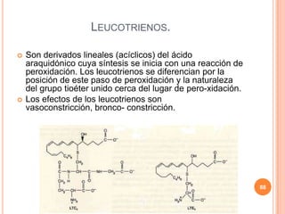LEUCOTRIENOS.
 Son derivados lineales (acíclicos) del ácido
araquidónico cuya síntesis se inicia con una reacción de
peroxidación. Los leucotrienos se diferencian por la
posición de este paso de peroxidación y la naturaleza
del grupo tioéter unido cerca del lugar de pero-xidación.
 Los efectos de los leucotrienos son
vasoconstricción, bronco- constricción.
88
 