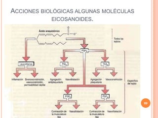 ACCIONES BIOLÓGICAS ALGUNAS MOLÉCULAS
EICOSANOIDES.
89
 