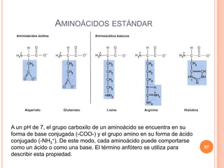 97
AMINOÁCIDOS ESTÁNDAR
A un pH de 7, el grupo carboxilo de un aminoácido se encuentra en su
forma de base conjugada (-COO-) y el grupo amino en su forma de ácido
conjugado (-NH3
+). De este modo, cada aminoácido puede comportarse
como un ácido o como una base. El término anfótero se utiliza para
describir esta propiedad.
 