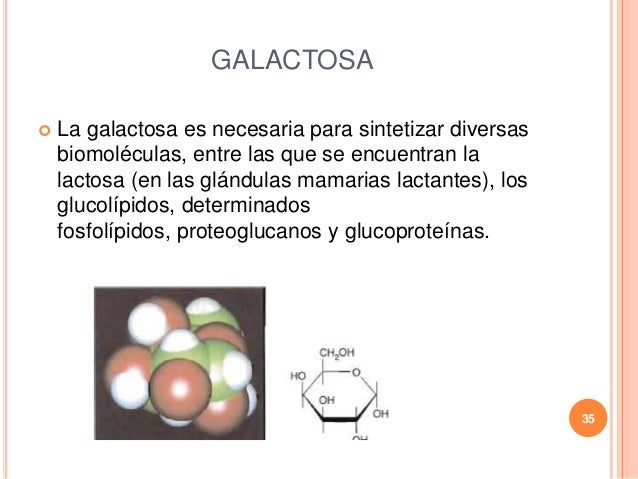 Bioquímica.