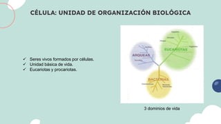 CÉLULA: UNIDAD DE ORGANIZACIÓN BIOLÓGICA
 Seres vivos formados por células.
 Unidad básica de vida.
 Eucariotas y procariotas.
3 dominios de vida
 