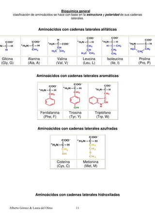 Bioquímica general
       clasificación de aminoácidos se hace con base en la estructura y polaridad de sus cadenas
                                                laterales.


                         Aminoácidos con cadenas laterales alifáticas




 Glicina         Alanina               Valina               Leucina       Isoleucina         Prolina
(Gly, G)         (Ala, A)             (Val, V)              (Leu, L)        (Ile, I)         (Pro, P)


                       Aminoácidos con cadenas laterales aromáticas




                            Fenilalanina         Tirosina          Triptófano
                              (Phe, F)           (Tyr, Y)           (Trp, W)


                        Aminoácidos con cadenas laterales azufradas




                                      Cisteína              Metionina
                                      (Cys, C)              (Met, M)




                       Aminoácidos con cadenas laterales hidroxiladas


     Alberto Gómez & Laura del Olmo                  11
 