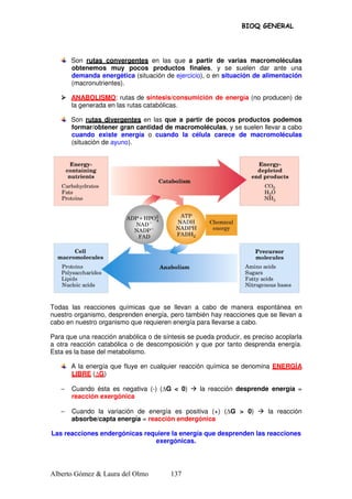 BIOQ GENERAL




       Son rutas convergentes en las que a partir de varias macromoléculas
       obtenemos muy pocos productos finales, y se suelen dar ante una
       demanda energética (situación de ejercicio), o en situación de alimentación
       (macronutrientes).

       ANABOLISMO: rutas de síntesis/consumición de energía (no producen) de
       la generada en las rutas catabólicas.

       Son rutas divergentes en las que a partir de pocos productos podemos
       formar/obtener gran cantidad de macromoléculas, y se suelen llevar a cabo
       cuando existe energía o cuando la célula carece de macromoléculas
       (situación de ayuno).




Todas las reacciones químicas que se llevan a cabo de manera espontánea en
nuestro organismo, desprenden energía, pero también hay reacciones que se llevan a
cabo en nuestro organismo que requieren energía para llevarse a cabo.

Para que una reacción anabólica o de síntesis se pueda producir, es preciso acoplarla
a otra reacción catabólica o de descomposición y que por tanto desprenda energía.
Esta es la base del metabolismo.

       A la energía que fluye en cualquier reacción química se denomina ENERGÍA
       LIBRE ( G)

   −   Cuando ésta es negativa (-) ( G < 0)       la reacción desprende energía =
       reacción exergónica

   −   Cuando la variación de energía es positiva (+) ( G > 0)           la reacción
       absorbe/capta energía = reacción endergónica

Las reacciones endergónicas requiere la energía que desprenden las reacciones
                               exergónicas.




Alberto Gómez & Laura del Olmo          137
 