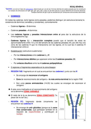 BIOQ GENERAL
*ISOTIPO: uno de los 5 tipos de anticuerpos, determinado por una de las 5 formas distintas de cadena pesada que los constituyen.
    Los isotipos de anticuerpos son IgM, IgG, IgD, IgA y IgE y cada uno de ellos ejecuta un grupo diferente de funciones efectoras.
                                          Subtipos distintos de IgG e IgA se caracterizan por variaciones estructurales adicionales.

    • DOMINIOS

En todas las cadenas, tanto ligeras como pesadas, podemos distinguir (en estructura terciaria) la
existencia de dominios (variables y constantes), concretamente:

    − Cadenas ligeras = 2 dominios

    − Cadenas pesadas = 4 dominios

    • Las cadenas ligeras y pesadas interaccionan entre sí para dar la estructura de la
      inmunoglobulina (Ig):

    − Cadenas ligeras (L) = interacción completa puesto que el tamaño de estas es
      aproximadamente entre 1/2 y 2/3 del tamaño de las cadenas pesadas (H); por ello hay una
      zona de las cadenas H que no interacciona con las ligeras, en la cual las 2 cadenas H
      interaccionan entre sí

    • Estabilización (estructura cuaternaria):

        − Por las interacciones entre cadenas L y H

        − Por interacciones débiles que aparecen entre las 2 cadenas pesadas (H)

        − Por enlaces disulfuro entre las 4 cadenas polipeptídicas

    • 2 regiones o fragmentos separados en la zona bisagra:

    − REGIÓN FAB: fragmento en el cual se encuentran las cadenas L junto con las H

                 Se encarga de reconocer al antígeno

                 Zona de reconocimiento del antígeno = la más amino-terminal de la región FAB

                 Son unos pocos aminoácidos (14-20) los cuales se encargan de reconocer el
                 antígeno

        A esta zona implicada en el reconocimiento del antígeno
        se la denomina ZONA VARIABLE

        El resto de la Ig se denomina ZONA CONSTANTE (*a
        pesar de no ser cte.)

    − REGIÓN FC: fragmento                        donde       únicamente         se
      encuentran las cadenas H

                 Se encarga de unir glúcidos (porque es la zona
                 más conservada), que participan también en la
                 reacción de especificidad y contribuyen al
                 isotipo


                                                                                                                                56
 