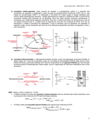Arlindo Ugulino Netto – MEDICINA P2 – 2008.1



   a) Lançadeira malato-aspartato: neste conjunto de reações, o α-cetoglutarato (α-KG) e o aspartato são
      convertidos em aspartato e oxalacetato a partir da ação da aspartato-amino transferase (TGO), isto é, uma
                                       14
      reação de transaminação (OBS ). O oxalacetato é convertido em malato graças à reação catalisada pela
      enzima malato desidrogenase citosólica – reação responsável por restaurar a molécula de NAD, a qual torna-se
      novamente oxidada para participar da via glicolítica. Para que estas reações continuem acontecendo, é
      necessário que o malato forme aspartato novamente. Para isso, o malato deve entrar na mitocôndria por meio de
      um sistema anti-porte (isto é: o malato entra na organela em troca de uma molécula de α-KG). Uma vez na
      mitocôndria, o malato é convertido em oxalacetato, o qual é convertido, junto ao glutamato, em aspartato. O
      aspartato, então, sai da mitocôndria (em troca de uma molécula de glutamato que entra na organela) e inicia o
      ciclo novamente.




   b) Lançadeira Glicerol-fosfato: o diidroxiacetona-fosfato formado a partir da degradação da glicose-6-fosfato na
      última reação da 1ª fase da via glicolítica, pode ser convertida em gliceraldeído-3-fosfato (pela enzima triose-
      fosfato-isomerase, para então participar da 2ª fase da via glicolítica) ou em glicerol-3-fosfato (por meio da ação
      da enzima glicerol-3-desidrogenase). Nesta reação, ocorre a regeneração do NAD para restabelecer seus níveis
      citosólicos.




    7                            +
OBS : FADH2: 2 ATPs; e NADH+H : 3 ATPs
  • O NADH mitosólico formado pela lançadeira malato-aspartato pode ser utilizado pela cadeia respiratória, para
       a produção de três moléculas de ATP pela fosforilação oxidativa.




   •    O FADH2 obtido pela lançadeira glicerol fosfato gera apenas duas moléculas de ATP:




                                                                                                                            4
 
