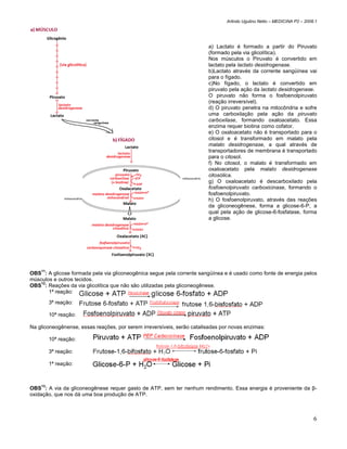 Arlindo Ugulino Netto – MEDICINA P2 – 2008.1




                                                                         a) Lactato é formado a partir do Piruvato
                                                                         (formado pela via glicolítica).
                                                                         Nos músculos o Piruvato é convertido em
                                                                         lactato pela lactato desidrogenase.
                                                                         b)Lactato através da corrente sangüínea vai
                                                                         para o fígado.
                                                                         c)No fígado, o lactato é convertido em
                                                                         piruvato pela ação da lactato desidrogenase.
                                                                         O piruvato não forma o fosfoenolpiruvato
                                                                         (reação irreversível).
                                                                         d) O piruvato penetra na mitocôndria e sofre
                                                                         uma carboxilação pela ação da piruvato
                                                                         carboxilase, formando oxaloacetato. Essa
                                                                         enzima requer biotina como cofator.
                                                                         e) O oxaloacetato não é transportado para o
                                                                         citosol e é transformado em malato pela
                                                                         malato desidrogenase, a qual através de
                                                                         transportadores de membrana é transportado
                                                                         para o citosol.
                                                                         f) No citosol, o malato é transformado em
                                                                         oxaloacetato pela malato desidrogenase
                                                                         citosólica.
                                                                         g) O oxaloacetato é descarboxilado pela
                                                                         fosfoenolpiruvato carboxicinase, formando o
                                                                         fosfoenolpiruvato.
                                                                         h) O fosfoenolpiruvato, através das reações
                                                                         da gliconeogênese, forma a glicose-6-P, a
                                                                         qual pela ação de glicose-6-fosfatase, forma
                                                                         a glicose.




    11
OBS : A glicose formada pela via gliconeogênica segue pela corrente sangüínea e é usado como fonte de energia pelos
músculos e outros tecidos.
    12
OBS : Reações da via glicolítica que não são utilizadas pela gliconeogênese.
       1ª reação:

       3ª reação:

       10ª reação:

Na gliconeogênense, essas reações, por serem irreversíveis, serão catalisadas por novas enzimas:

       10ª reação:

       3ª reação:

       1ª reação:



OBS13: A via da gliconeogênese requer gasto de ATP, sem ter nenhum rendimento. Essa energia é proveniente da β-
oxidação, que nos dá uma boa produção de ATP.



                                                                                                                          6
 