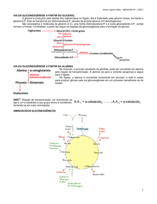 Arlindo Ugulino Netto – MEDICINA P2 – 2008.1


VIA DA GLICONEOGÊNESE A PARTIR DO GLICEROL
         O glicerol é produzido pela lipólise dos triglicerídeos no fígado. Ele é fosforilado pela glicerol cinase, formando o
glicerol-3-P. Este se transforma em diidroxiacetona-P, através da enzima glicerol-3-P-desidrogenase.
         São necessários 2 moléculas de glicerol (3 C), uma forma diidroxiacetona-P e a outra gliceraldeído-3-P. Juntas
formam a frutose-1,6-bifosfato, a partir daí segue as reações da gliconeogênese para a formação da glicose.




VIA DA GLICONEOGÊNESE A PARTIR DA ALANINA
                                No músculo, o piruvato resultante da glicólise, pode ser convertido em alanina
                            pela reação de transaminação. A alanina vai para a corrente sangüínea e segue
                            para o fígado.
                                No fígado, a alanina é convertida novamente em piruvato, e este é usado
                            para produzir glicose pela via gliconeogênese em um processo semelhante ao do
                            lactato.




OBS14: Reação de transaminação: um aminoácido se
liga a um α-cetoácido e seu grupo amino é transferido,
tornando-se em outro aminoácido.

AMINOÁCIDOS GLICONEOGÊNICOS




                                                                                                                                7
 