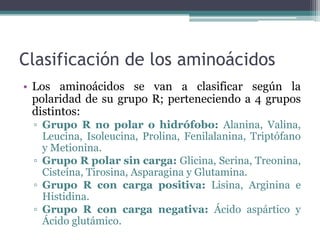 Clasificación de los aminoácidos
• Los aminoácidos se van a clasificar según la
polaridad de su grupo R; perteneciendo a 4 grupos
distintos:
▫ Grupo R no polar o hidrófobo: Alanina, Valina,
Leucina, Isoleucina, Prolina, Fenilalanina, Triptófano
y Metionina.
▫ Grupo R polar sin carga: Glicina, Serina, Treonina,
Cisteína, Tirosina, Asparagina y Glutamina.
▫ Grupo R con carga positiva: Lisina, Arginina e
Histidina.
▫ Grupo R con carga negativa: Ácido aspártico y
Ácido glutámico.
 