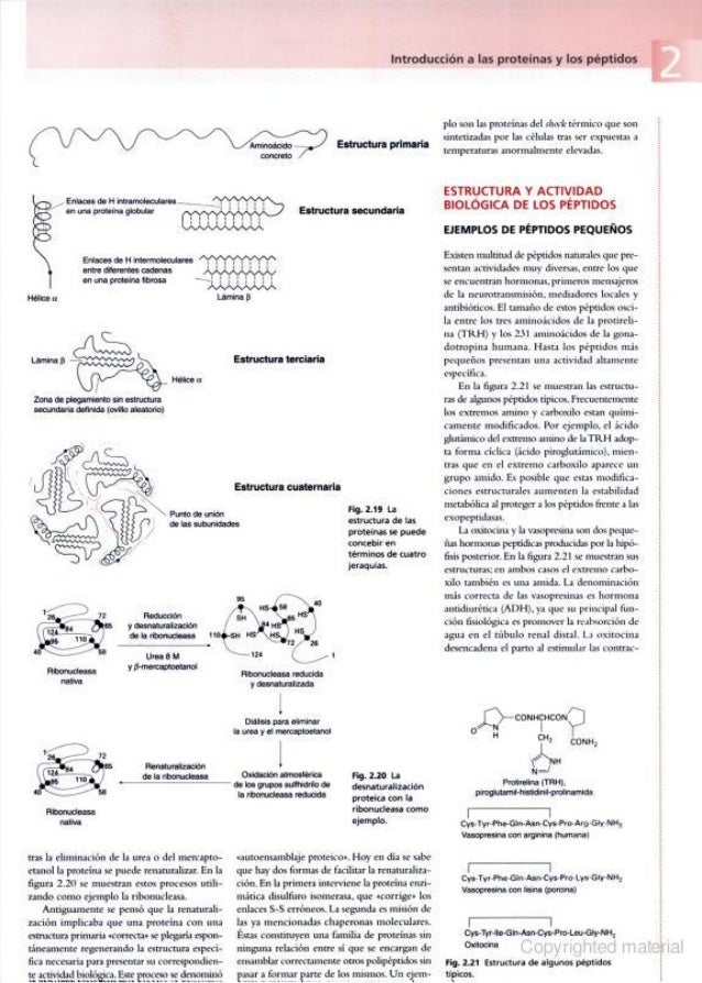 Bioquímica ilustrada peter n. campbell
