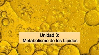 Unidad 3:
Metabolismo de los Lípidos
 