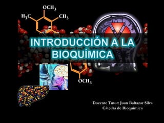 Docente Tutor: Juan Baltazar Silva Cátedra de Bioquímica 