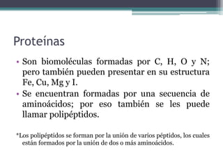 Proteínas
• Son biomoléculas formadas por C, H, O y N;
pero también pueden presentar en su estructura
Fe, Cu, Mg y I.
• Se encuentran formadas por una secuencia de
aminoácidos; por eso también se les puede
llamar polipéptidos.
*Los polipéptidos se forman por la unión de varios péptidos, los cuales
están formados por la unión de dos o más aminoácidos.
 
