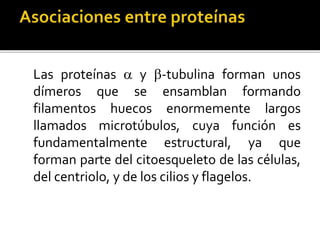  Holoproteínas o proteínas simples.
 Globulares
 Fibrosas
 Heteroproteínas o proteínas conjugadas
 Glucoproteínas
 L...