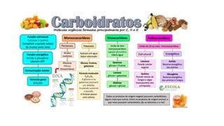 Bioquímica [Salvo automaticamente] [Salvo automaticamente].pptx