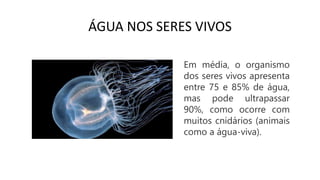 ÁGUA NOS SERES VIVOS
Em média, o organismo
dos seres vivos apresenta
entre 75 e 85% de água,
mas pode ultrapassar
90%, como ocorre com
muitos cnidários (animais
como a água-viva).
 