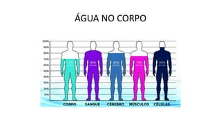 ÁGUA NO CORPO
 