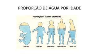 PROPORÇÃO DE ÁGUA POR IDADE
 