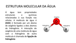 ESTRUTURA MOLECULAR DA ÁGUA
Á água tem propriedades
estruturais e químicas
relacionadas à sua função nas
células. A molécula de água é
(H2O) é formado por um átomo
de oxigênio ligados a dois átomos
de hidrogênio. A interação do
oxigênio de uma molécula de água
com o hidrogênio de outra
molécula é chamada de ligação de
hidrogênio
 