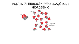 PONTES DE HIDROGÊNIO OU LIGAÇÕES DE
HIDROGÊNIO
 
