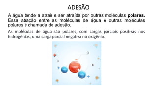 ADESÃO
A água tende a atrair e ser atraída por outras moléculas polares.
Essa atração entre as moléculas de água e outras moléculas
polares é chamada de adesão.
As moléculas de água são polares, com cargas parciais positivas nos
hidrogênios, uma carga parcial negativa no oxigênio.
 