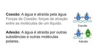Coesão: A água é atraída pela água
Forças de Coesão: forças de atração
entre as moléculas de um líquido.
Adesão: A água é atraída por outras
substâncias e outras moléculas
polares.
 