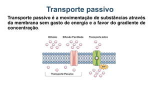 Transporte passivo
Transporte passivo é a movimentação de substâncias através
da membrana sem gasto de energia e a favor do gradiente de
concentração.
 