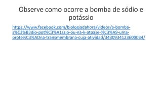 Observe como ocorre a bomba de sódio e
potássio
https://www.facebook.com/biologiadahora/videos/a-bomba-
s%C3%B3dio-pot%C3%A1ssio-ou-na-k-atpase-%C3%A9-uma-
prote%C3%ADna-transmembrana-cuja-atividad/3430934123600034/
 