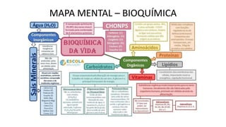 MAPA MENTAL – BIOQUÍMICA
 