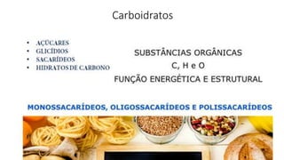Carboidratos
 