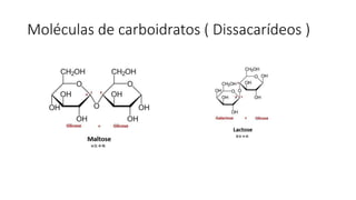Moléculas de carboidratos ( Dissacarídeos )
 