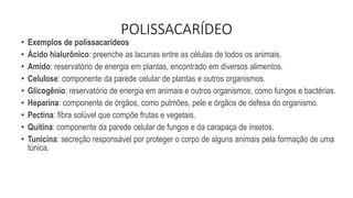POLISSACARÍDEO
• Exemplos de polissacarídeos
• Ácido hialurônico: preenche as lacunas entre as células de todos os animais.
• Amido: reservatório de energia em plantas, encontrado em diversos alimentos.
• Celulose: componente da parede celular de plantas e outros organismos.
• Glicogênio: reservatório de energia em animais e outros organismos, como fungos e bactérias.
• Heparina: componente de órgãos, como pulmões, pele e órgãos de defesa do organismo.
• Pectina: fibra solúvel que compõe frutas e vegetais.
• Quitina: componente da parede celular de fungos e da carapaça de insetos.
• Tunicina: secreção responsável por proteger o corpo de alguns animais pela formação de uma
túnica.
 