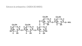 Estrutura da amilopectina ( CADEIA DE AMIDO)
 