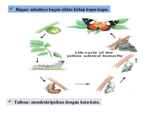 Metode Ilmiah Biologi