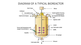 DIAGRAM OF A TYPICAL BIOREACTOR
 