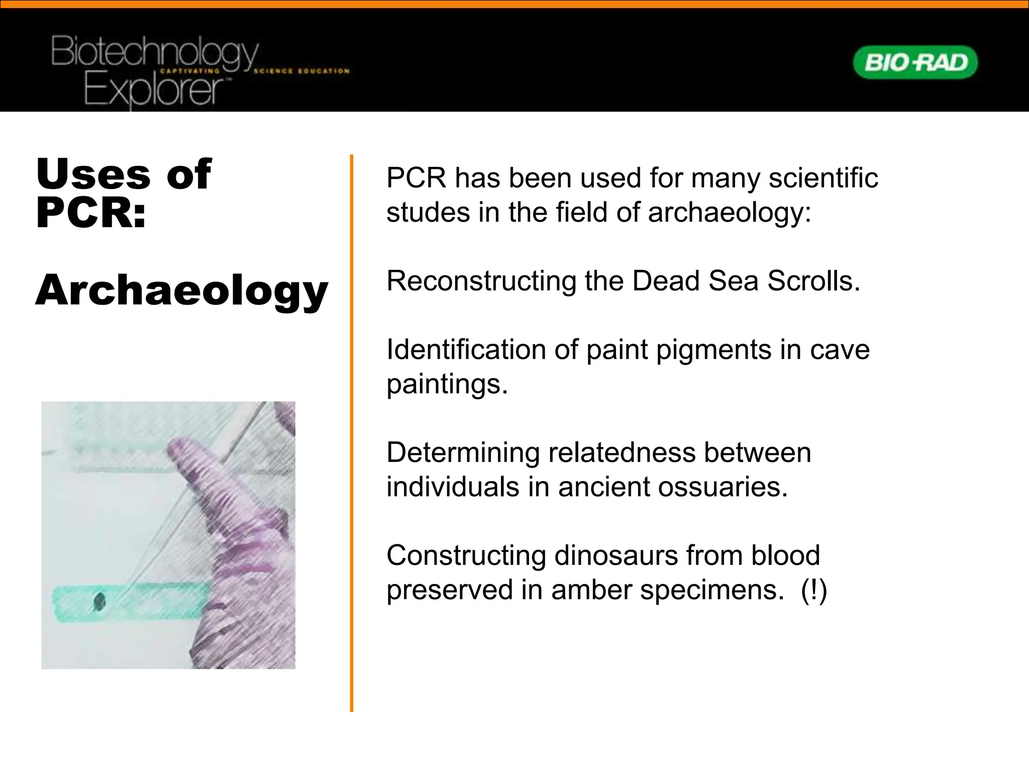 BioRad A_Brief_History_of_Polymerase Chain Reaction.ppt