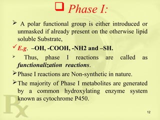 Comprehensive Overview of Drug Biotransformation and Metabolic ...