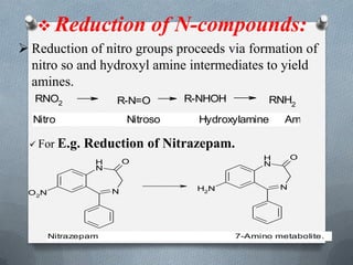 Bioransformation ( Biopharmaceutics ) | PDF
