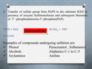 Bioransformation ( Biopharmaceutics ) | PDF