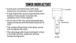 TOWER BIOREACTORS
• A pressure-cycle fermenter with large
dimensions constitutes a tower bioreactor.
• A high hydrostatic pressure generated at the
bottom of the reactor increases the
solubility of O2 in the medium.
• At the top of the riser, (with expanded top)
reduces pressure and facilitates expulsion of
CO2.
• The medium flows back in the down comer
and completes the cycle.
• The advantage with tower bioreactor is that
it has high aeration capacities without
having moving parts.
 