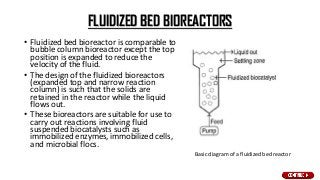 FLUIDIZED BED BIOREACTORS
• Fluidized bed bioreactor is comparable to
bubble column bioreactor except the top
position is expanded to reduce the
velocity of the fluid.
• The design of the fluidized bioreactors
(expanded top and narrow reaction
column) is such that the solids are
retained in the reactor while the liquid
flows out.
• These bioreactors are suitable for use to
carry out reactions involving fluid
suspended biocatalysts such as
immobilized enzymes, immobilized cells,
and microbial flocs.
Basic diagram of a fluidized bed reactor
 