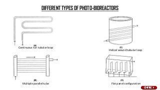 DIFFERENT TYPES OF PHOTO-BIOREACTORS
Continuous run tubular loop
Flat panel configuration
Helical wound tubular loop
Multiple parallel tube
 