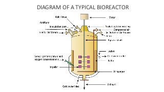 DIAGRAM OF A TYPICAL BIOREACTOR
 
