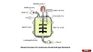 General structure of a continuous stirred-tank type bioreactor
 