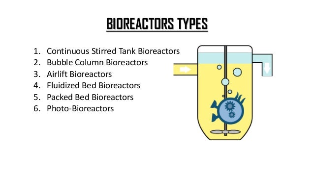 bioreactor ppt bioreactor